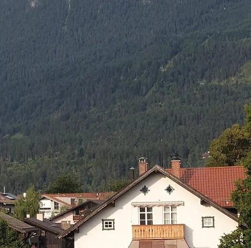 Bunter Hirsch Im Garmischer Zentrum *